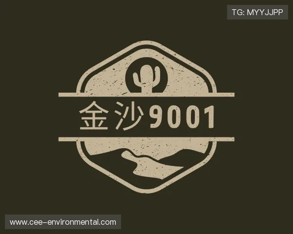 认识金沙9001